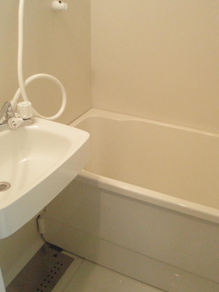 Bathroom. Indoor (January 2012) shooting