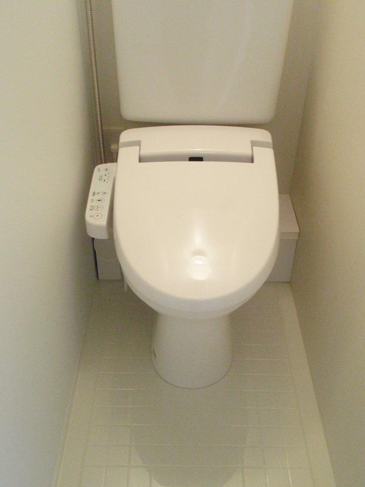 Toilet. Indoor (January 2012) shooting
