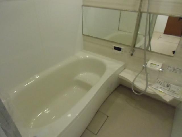 Bathroom. Indoor (11 May 2013) Shooting