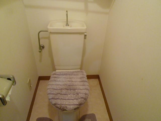 Toilet. Local (June 2012) shooting