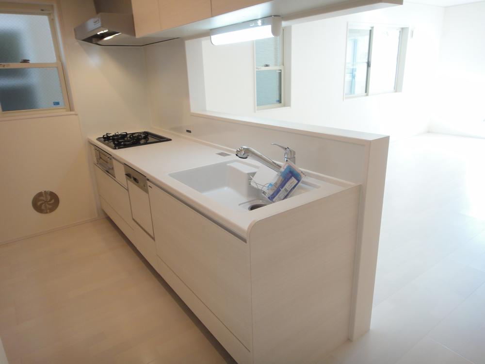 Kitchen. Indoor shooting