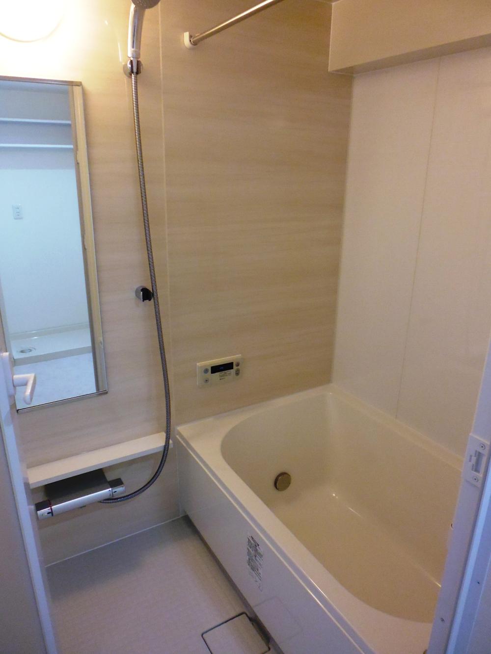 Bathroom. Indoor shooting