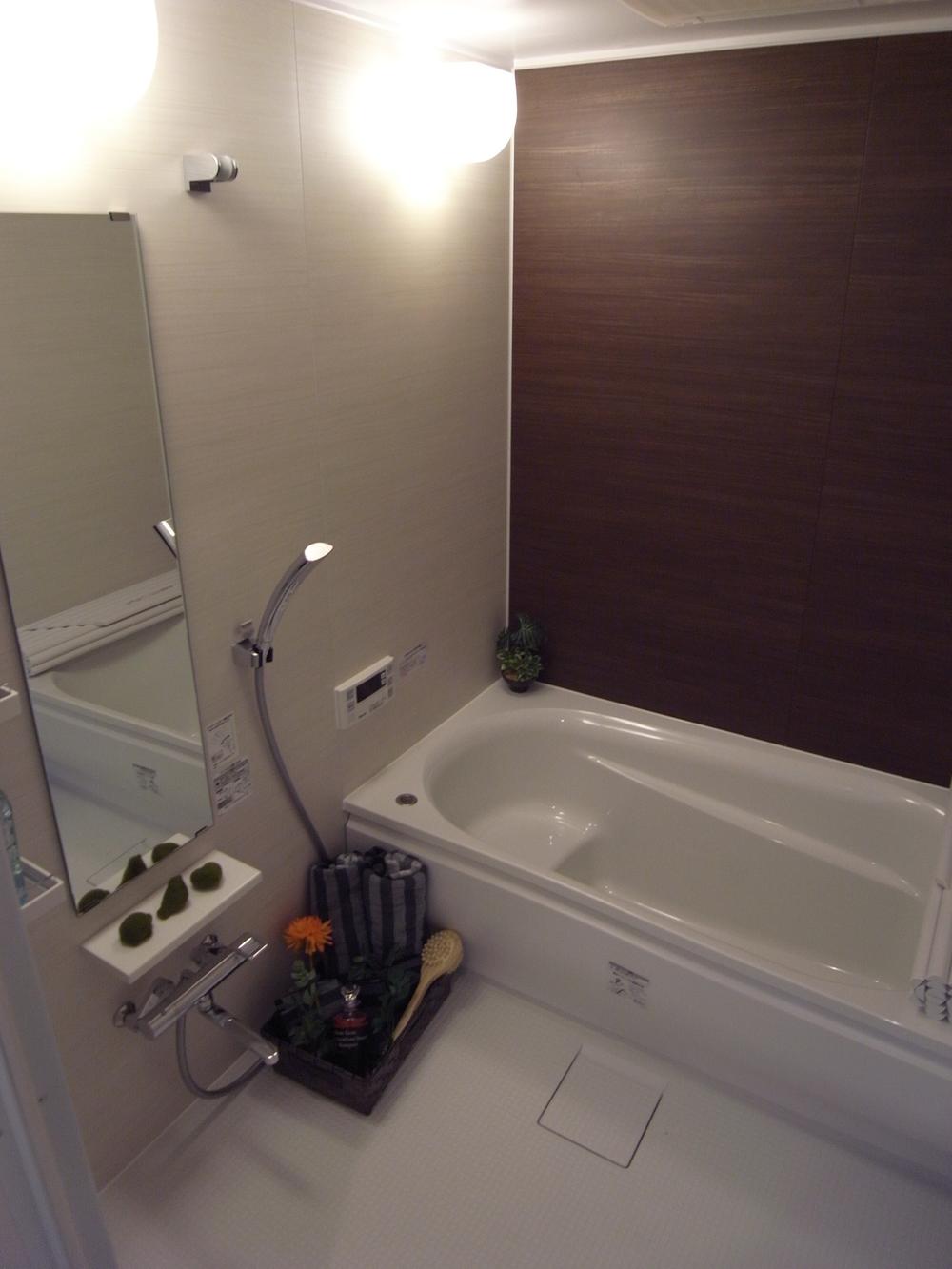 Bathroom. Local (January 2014) Shooting