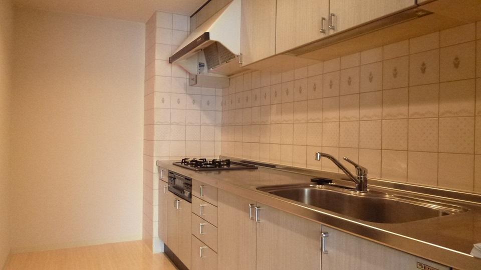 Kitchen. Indoor (September 2013) Shooting