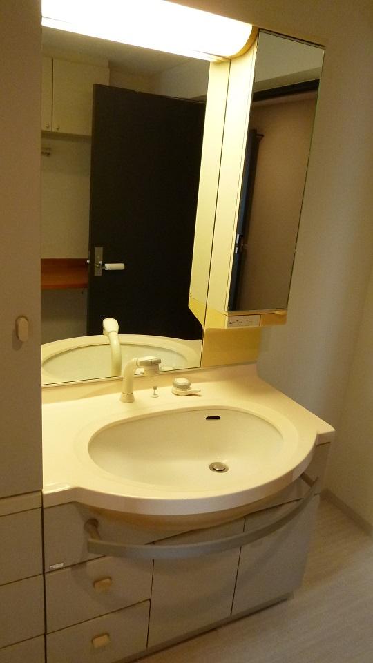 Wash basin, toilet. Indoor (September 2013) Shooting