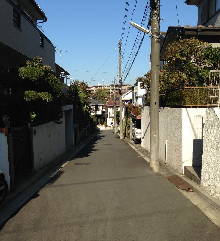 Local photos, including front road. Front road landscape