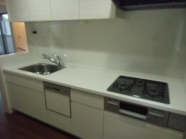 Kitchen. Indoor (11 May 2013) Shooting