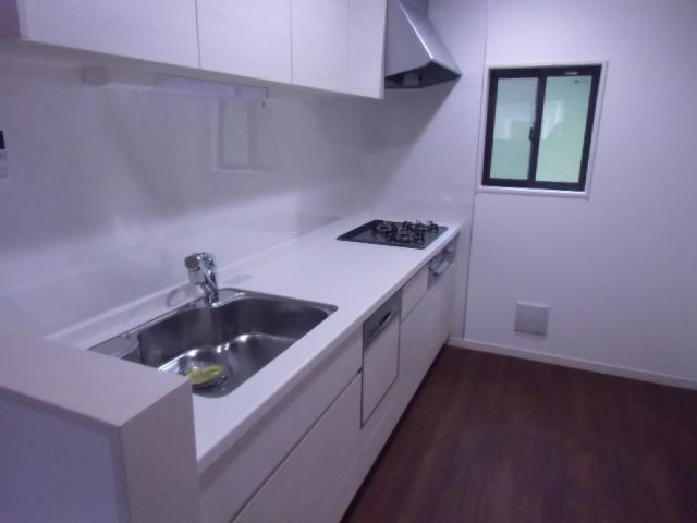 Kitchen. Indoor (11 May 2013) Shooting