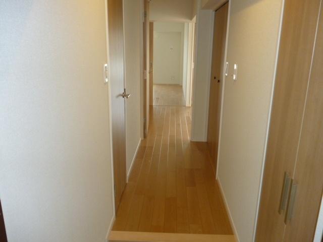 Other introspection. Corridor part