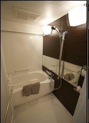 Bathroom. Local Photos