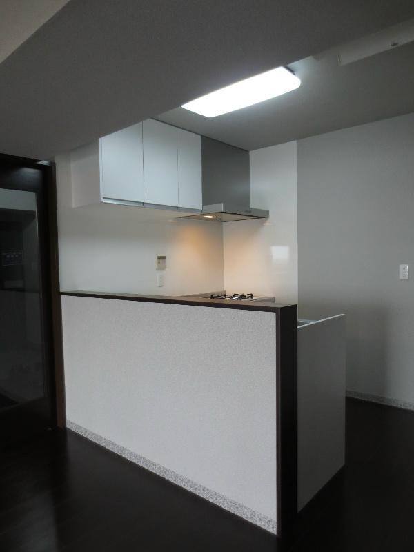 Kitchen. Face-to-face kitchen