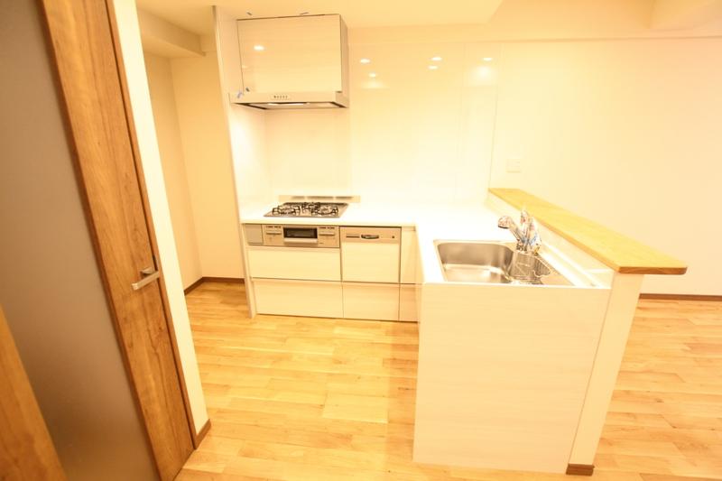 Kitchen. Gas stove with a grill is a three-necked