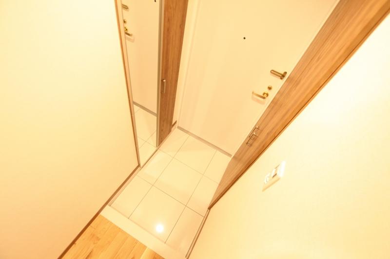 Entrance. The footwear purse is convenient with a full-length mirror