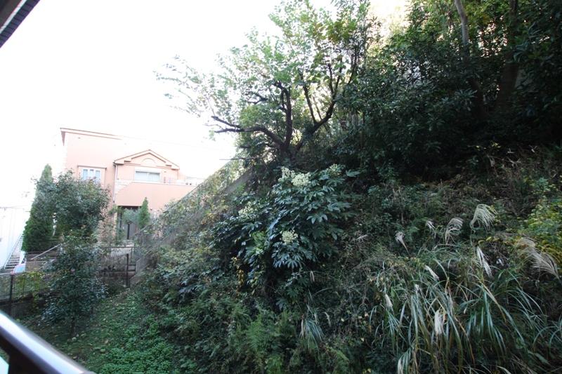 View photos from the dwelling unit. Lush environment