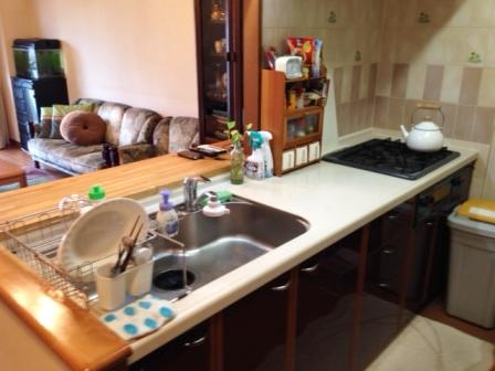 Kitchen. Indoor (11 May 2013) Shooting