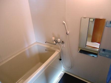 Bathroom. Indoor (10 May 2013) Shooting