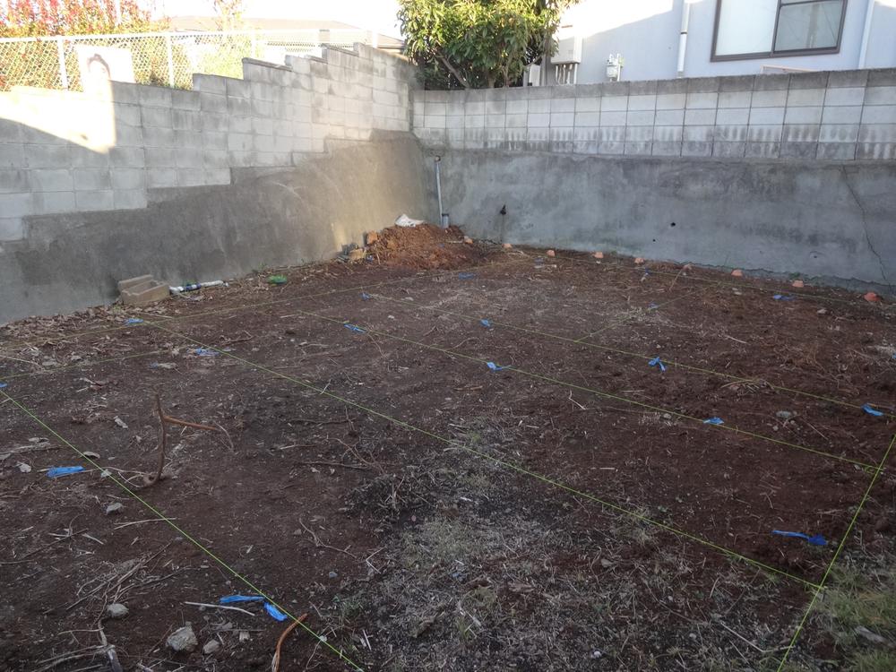 Local appearance photo. Local (December 2013 shooting)