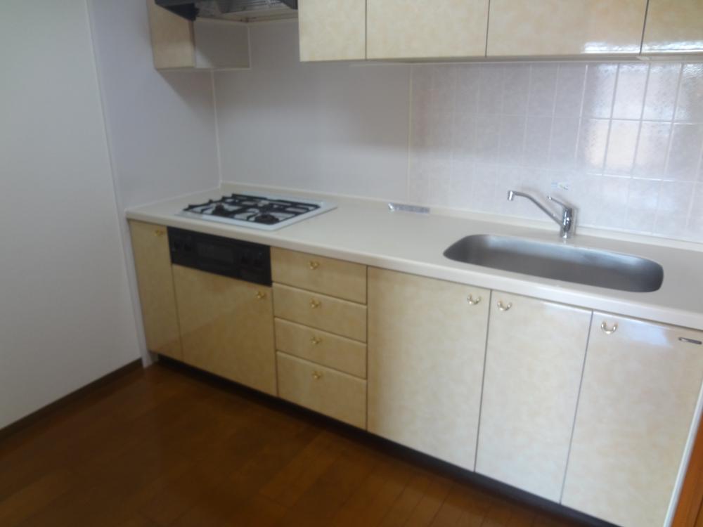 Kitchen. Indoor (11 May 2013) Shooting