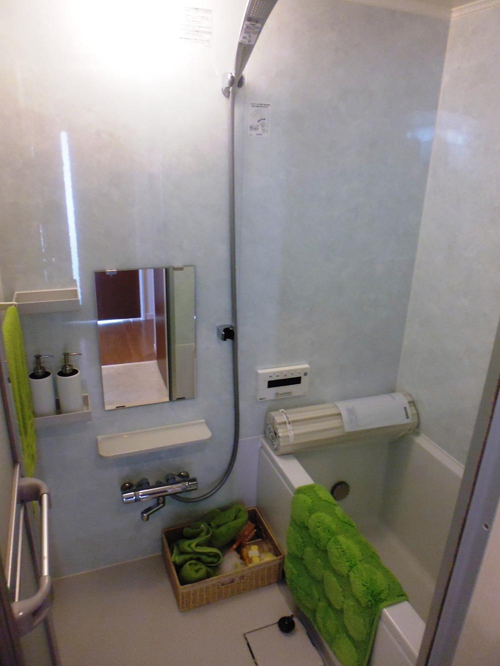 Bathroom. Indoor shooting
