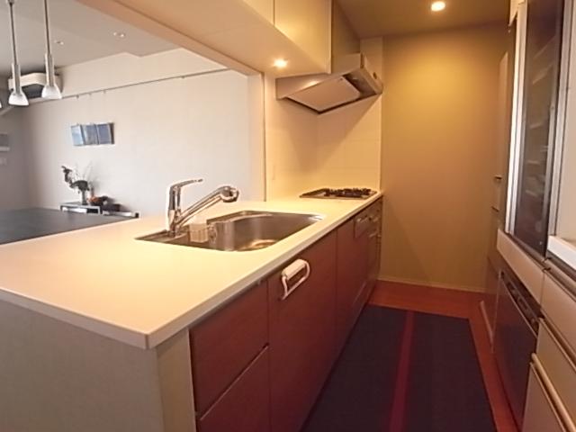 Kitchen. Indoor (11 May 2013) Shooting