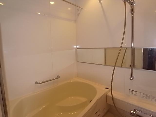 Bathroom. Indoor (11 May 2013) Shooting