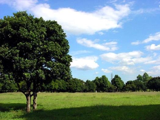 park. Until Kishinekoen 550m