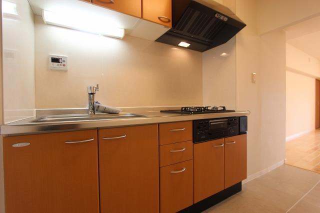 Kitchen. Indoor shooting