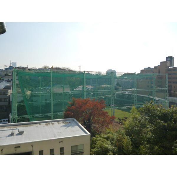 View photos from the dwelling unit. View from 406, Room