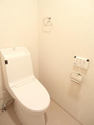Toilet. Toilet with shower