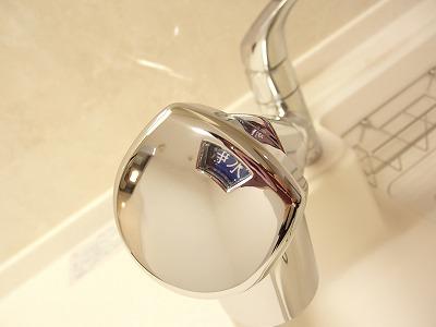 Kitchen. Water purification function with mixing faucet