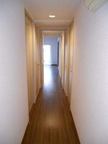Other introspection. Corridor part