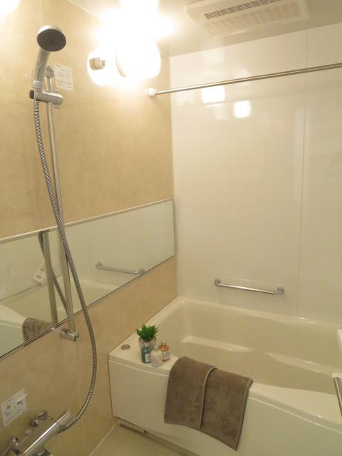 Bathroom. Indoor (11 May 2013) Shooting