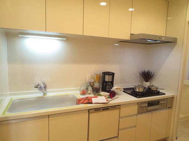 Kitchen. Indoor (11 May 2013) Shooting
