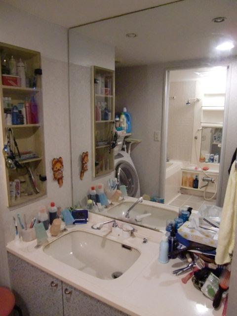 Wash basin, toilet. Indoor (September 2013) Shooting