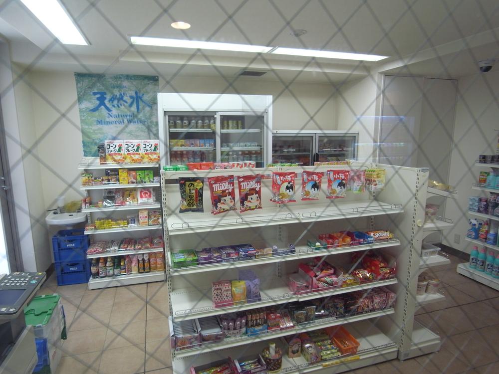 Other common areas. There is "mini-shop" in the Mansion