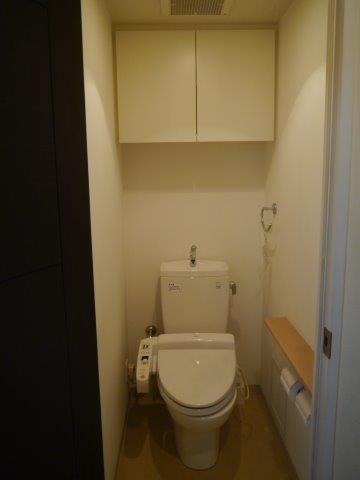 Toilet. Indoor (12 May 2013) Shooting