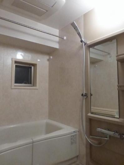 Bathroom. Indoor (12 May 2013) Shooting