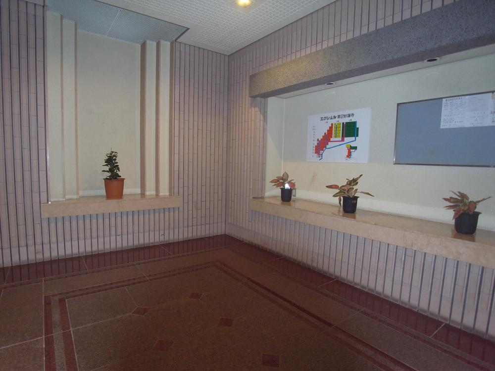 Entrance. Common areas
