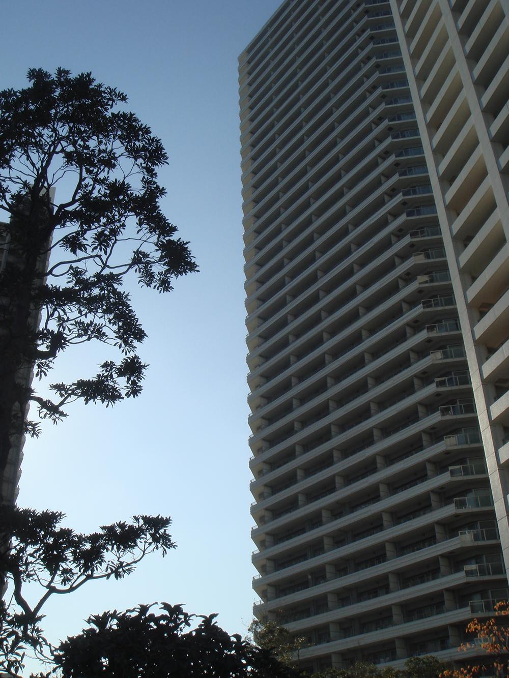 Kanagawa Prefecture, Kanagawa-ku, Yokohama-shi Hashimoto-cho, 2