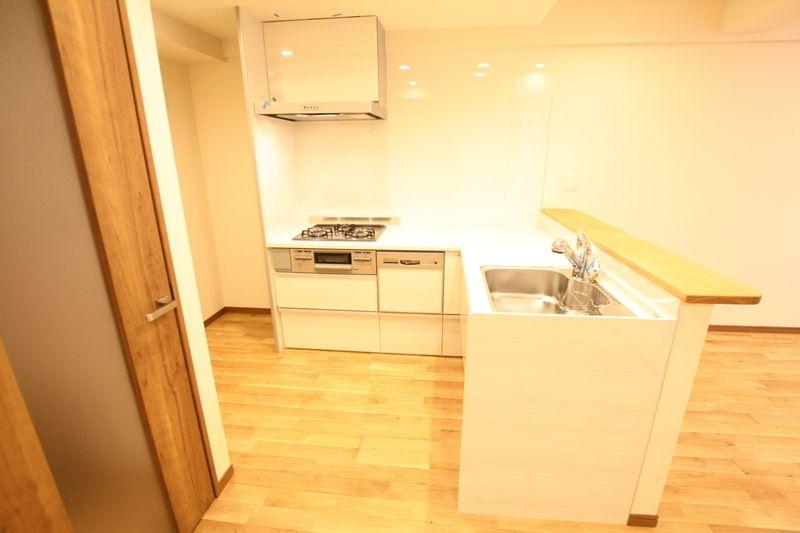 Kitchen. Gas stove with a grill is a three-necked