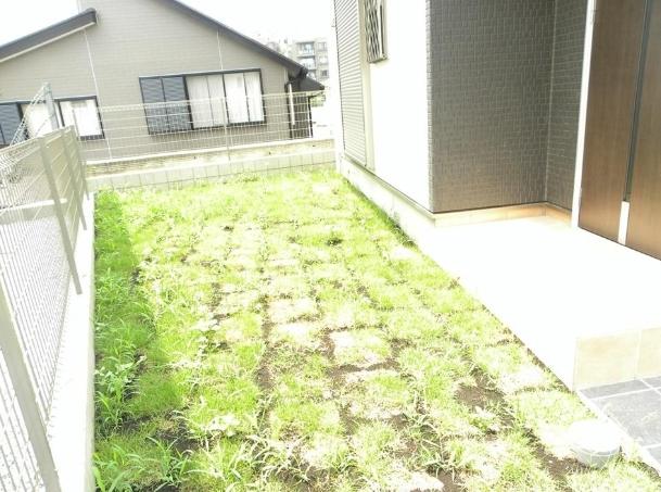 Garden. Local (March 2013) Shooting