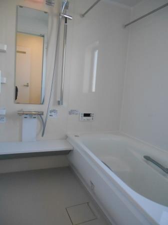 Bathroom. Indoor (12 May 2013) Shooting