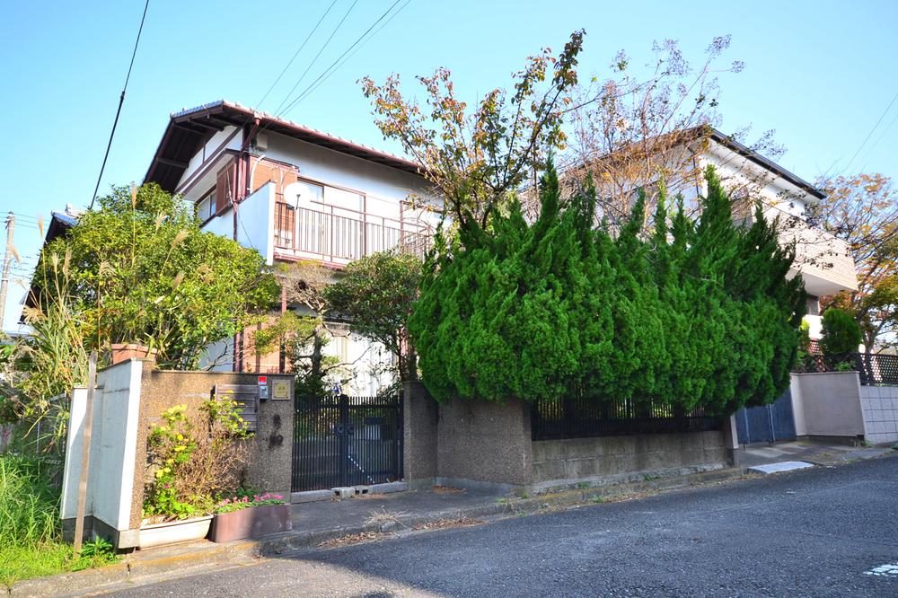 Local land photo. Local (11 May 2013) Shooting