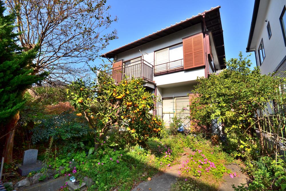 Local land photo. Local (11 May 2013) Shooting