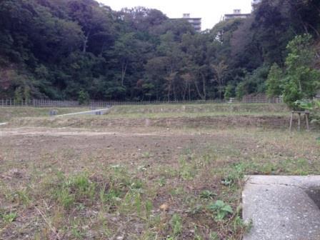 Local land photo. Local (10 May 2013) Shooting