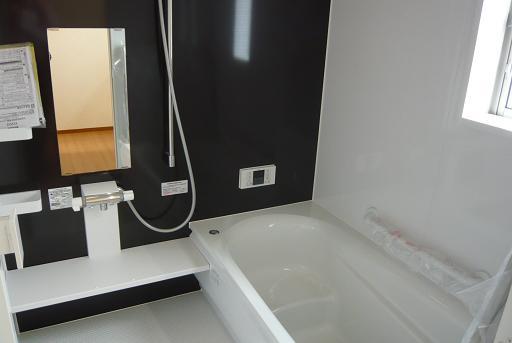 Bathroom. Indoor (11 May 2013) Shooting