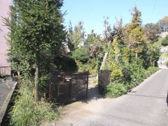 Local land photo. Appearance (1)