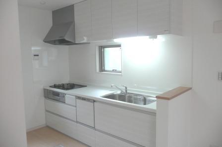 Kitchen. Indoor (12 May 2013) Shooting