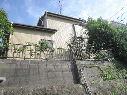 Local land photo. Local appearance