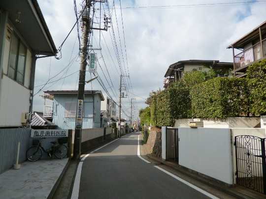 Local land photo. Property east